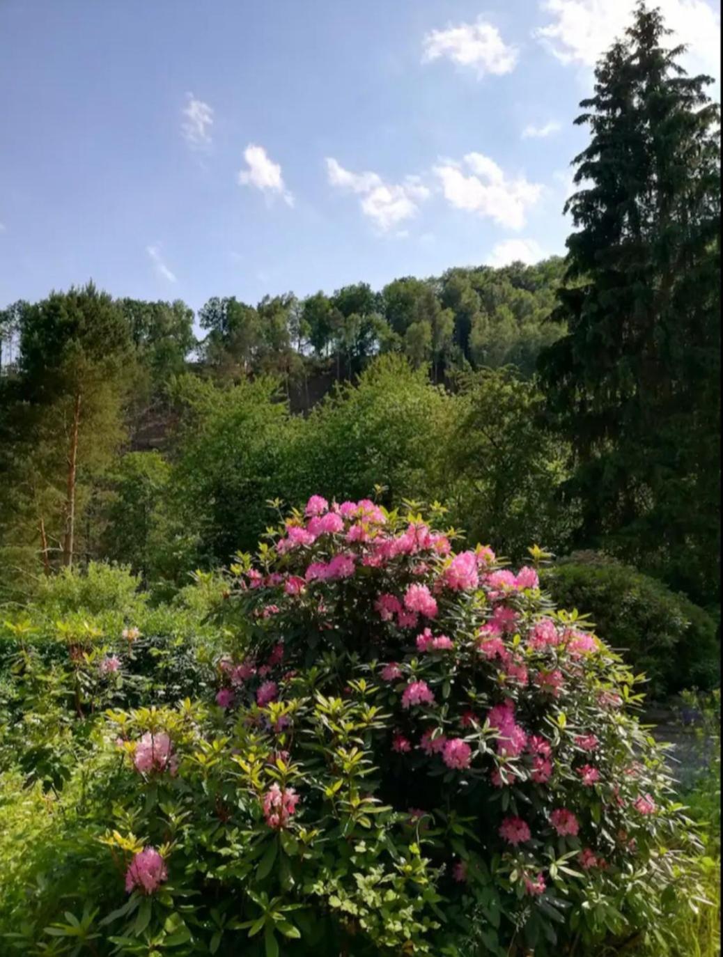 Ferienwohnung Fuer Naturfreunde Rathmannsdorf Екстериор снимка