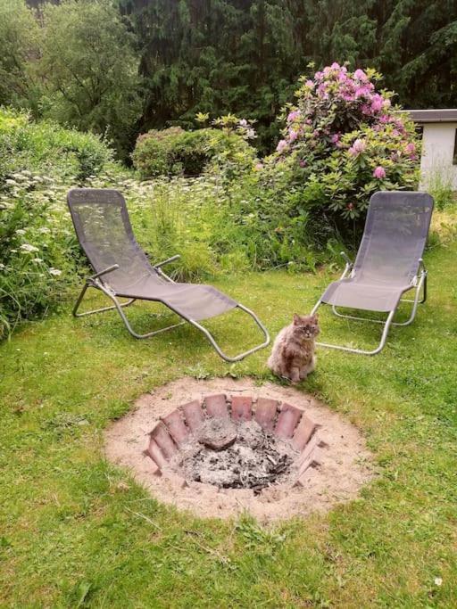 Ferienwohnung Fuer Naturfreunde Rathmannsdorf Екстериор снимка