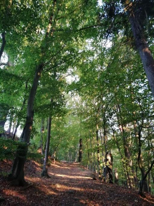 Ferienwohnung Fuer Naturfreunde Rathmannsdorf Екстериор снимка