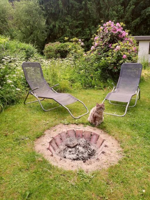 Ferienwohnung Fuer Naturfreunde Rathmannsdorf Екстериор снимка